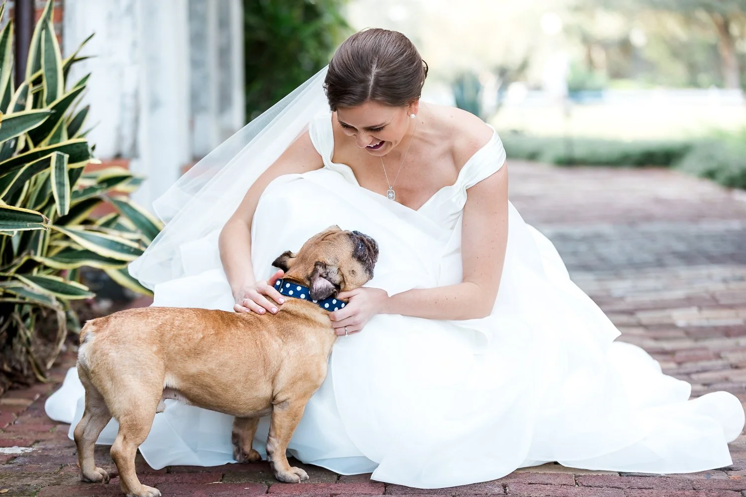 bride and her pet