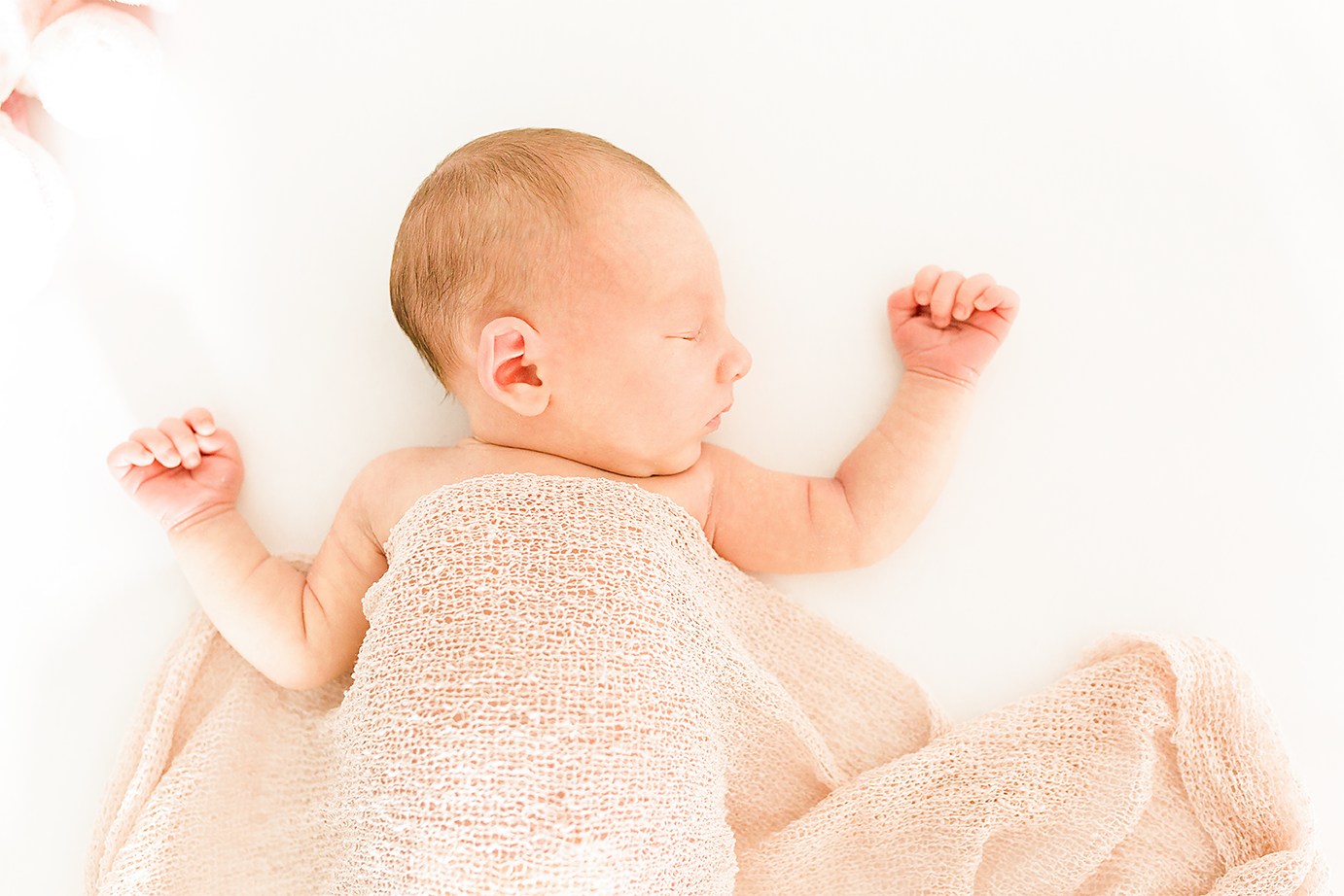 lifestyle newborn photographer in north florida