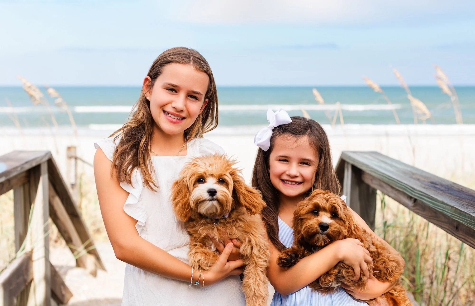 family pictures with dogs/puppies in Ponte Vedra Beach 