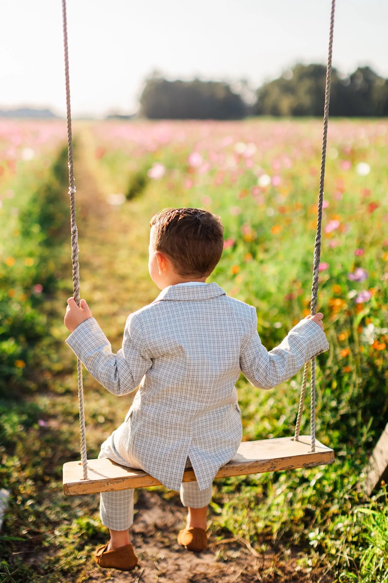 family pictures on the swing in the Parker flower field 