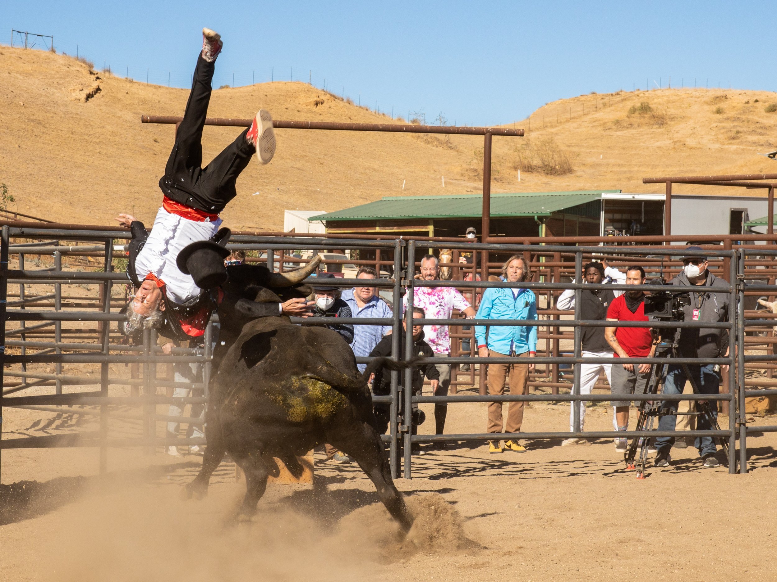 'Jackass Forever' Review: And They Said You Can’t Teach Old Dogs New Stunts