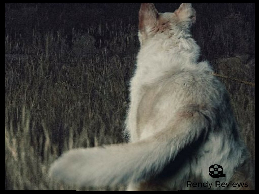 It Comes At Night Review