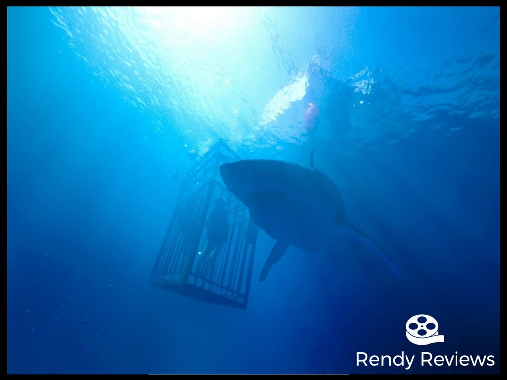 47 Meters Down Review