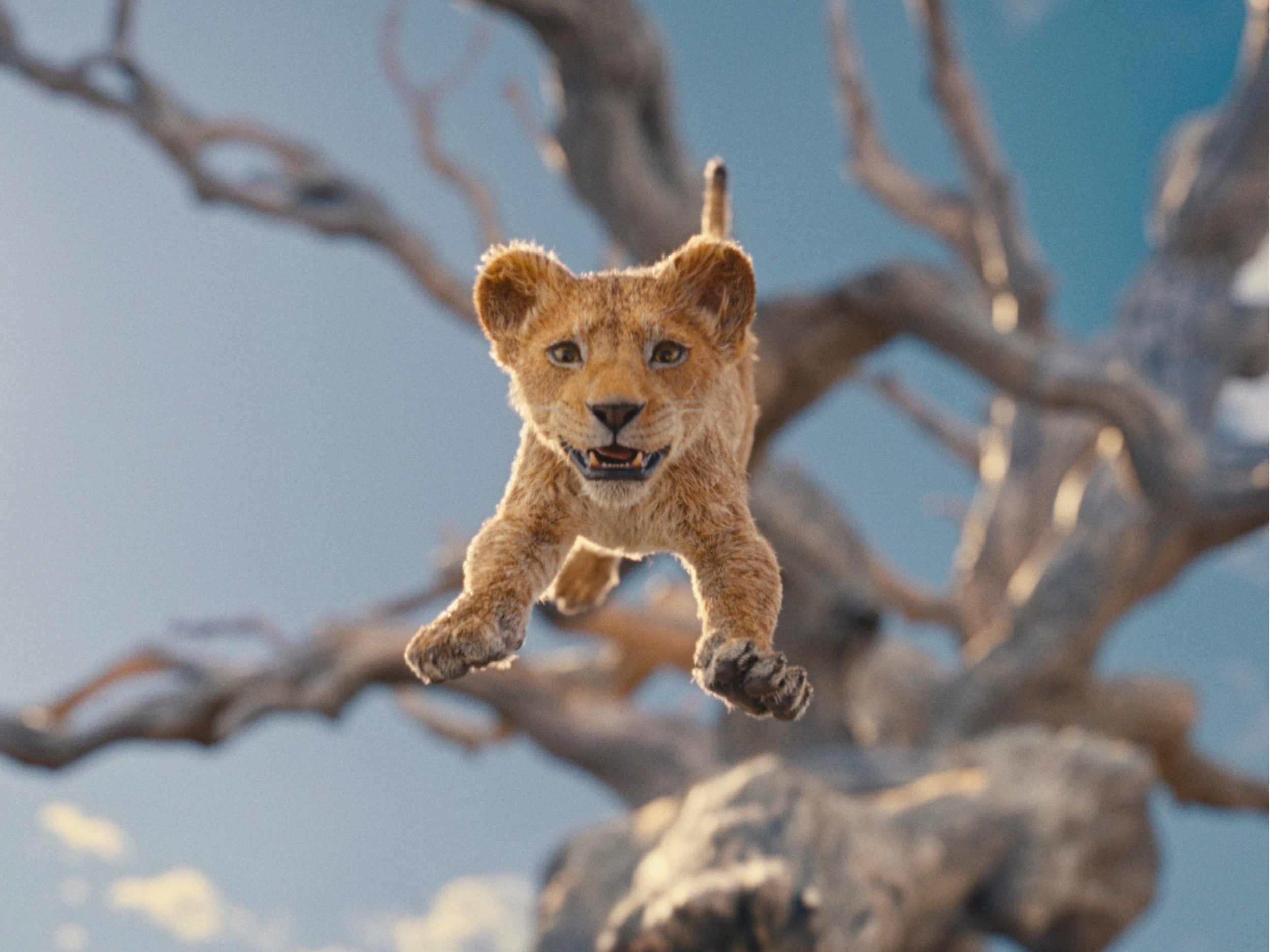 'Mufasa: The Lion King' Review: Photorealistic Lion King Prequel Contains a Minor Roar