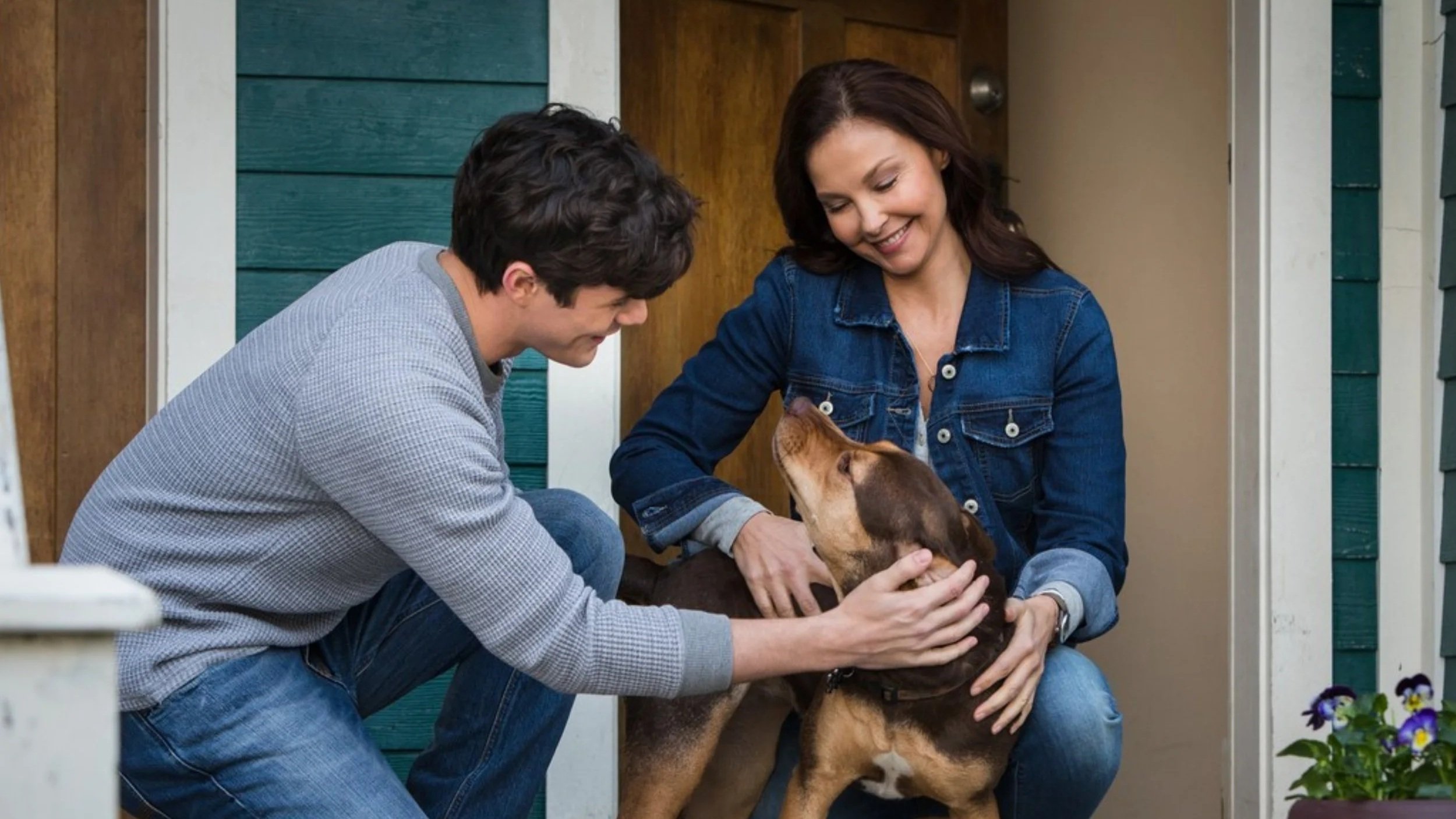 A Dog's Way Home Review