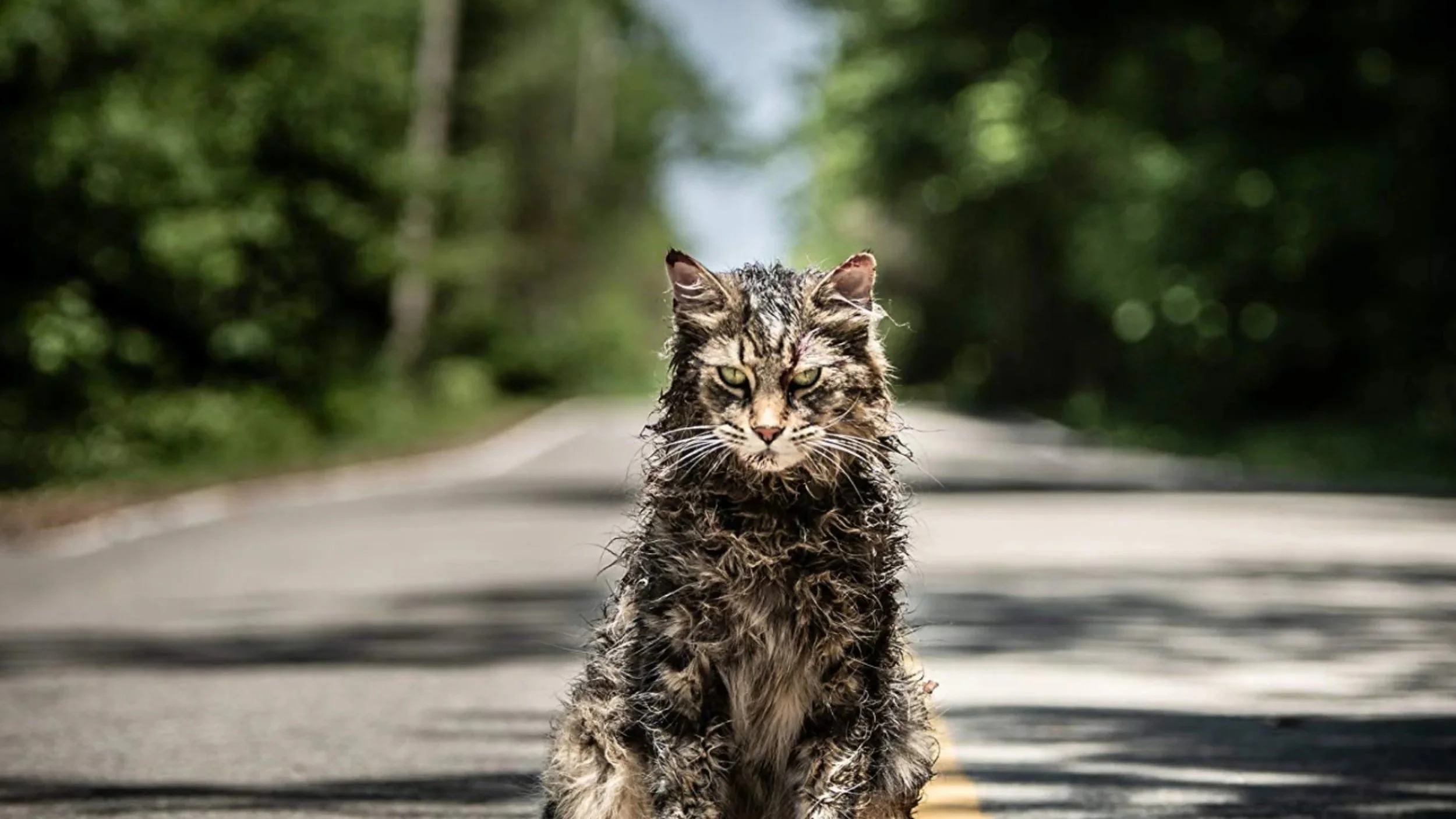 Pet Sematary Review