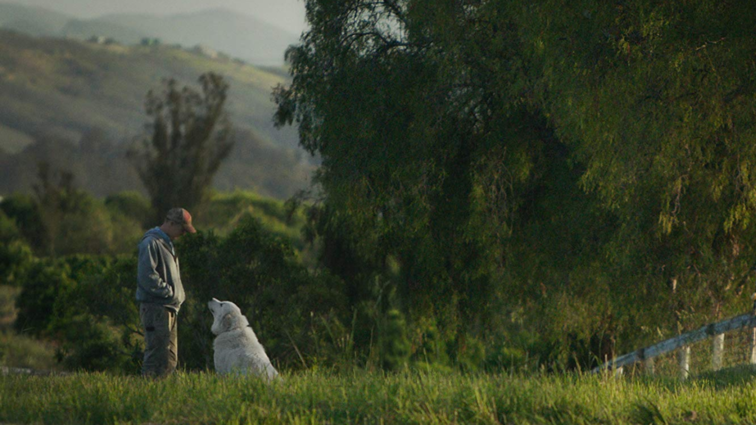 The Biggest Little Farm Review