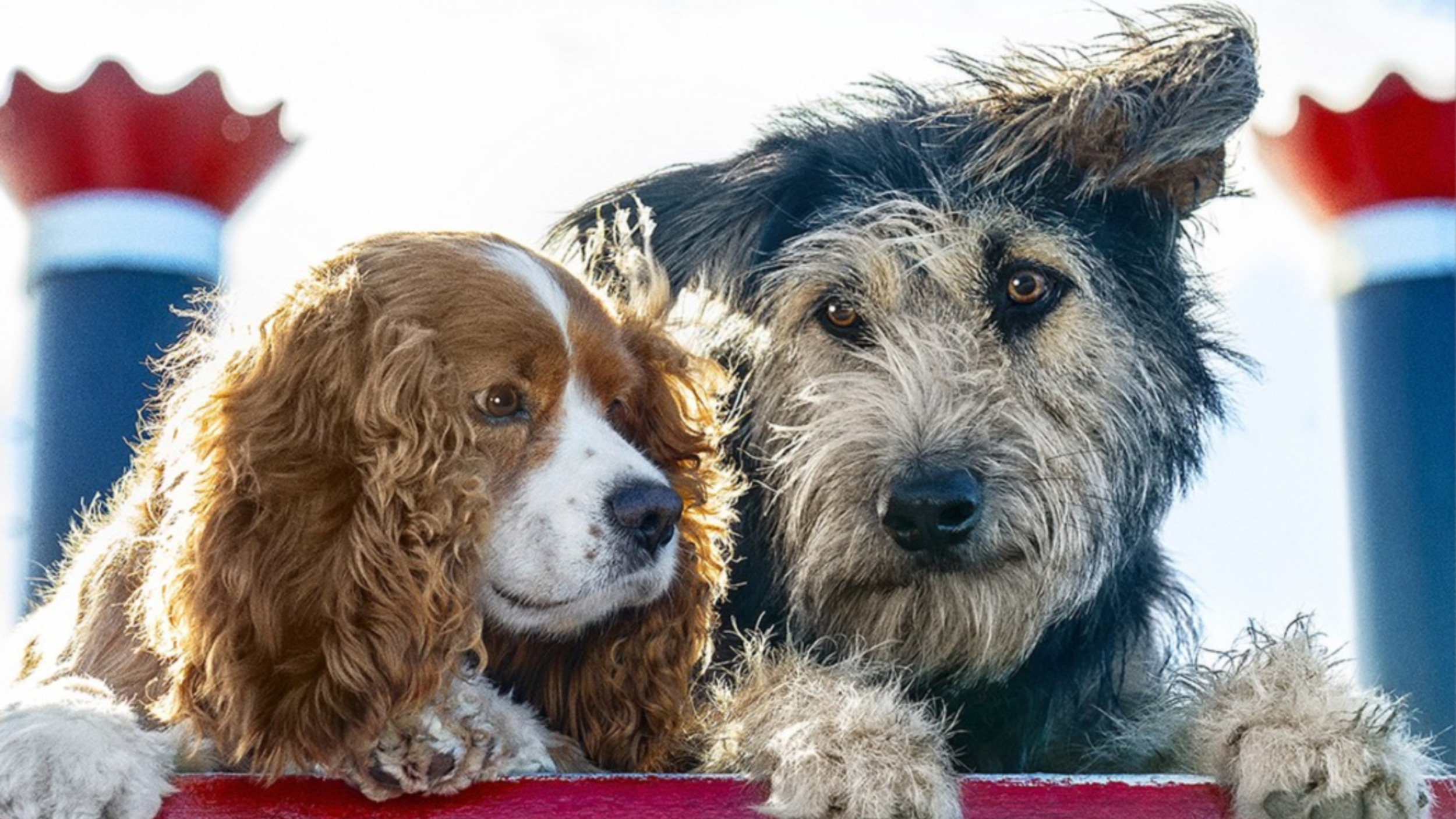 Lady and the Tramp Review