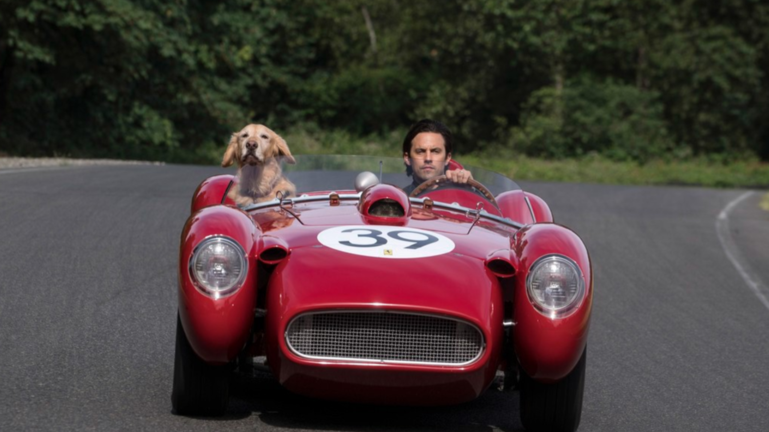 The Art of Racing in the Rain Review