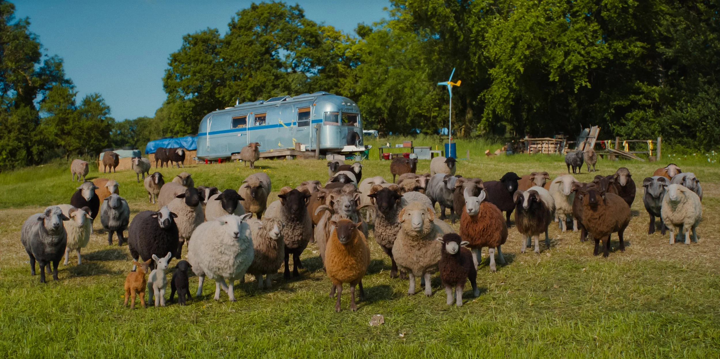 ‘The Sheep Detectives’ Review: A Smart, Woolly Whodunit That Revives the Soul of Family Movies