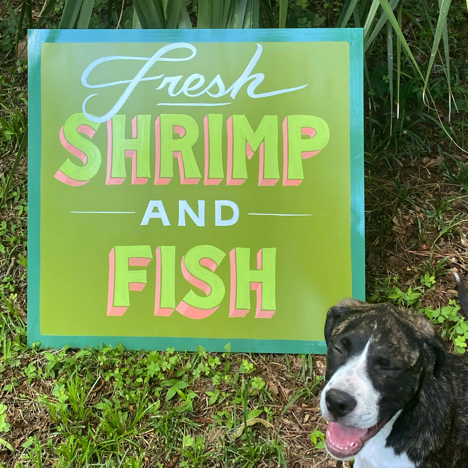 Shrimp and fish.JPG