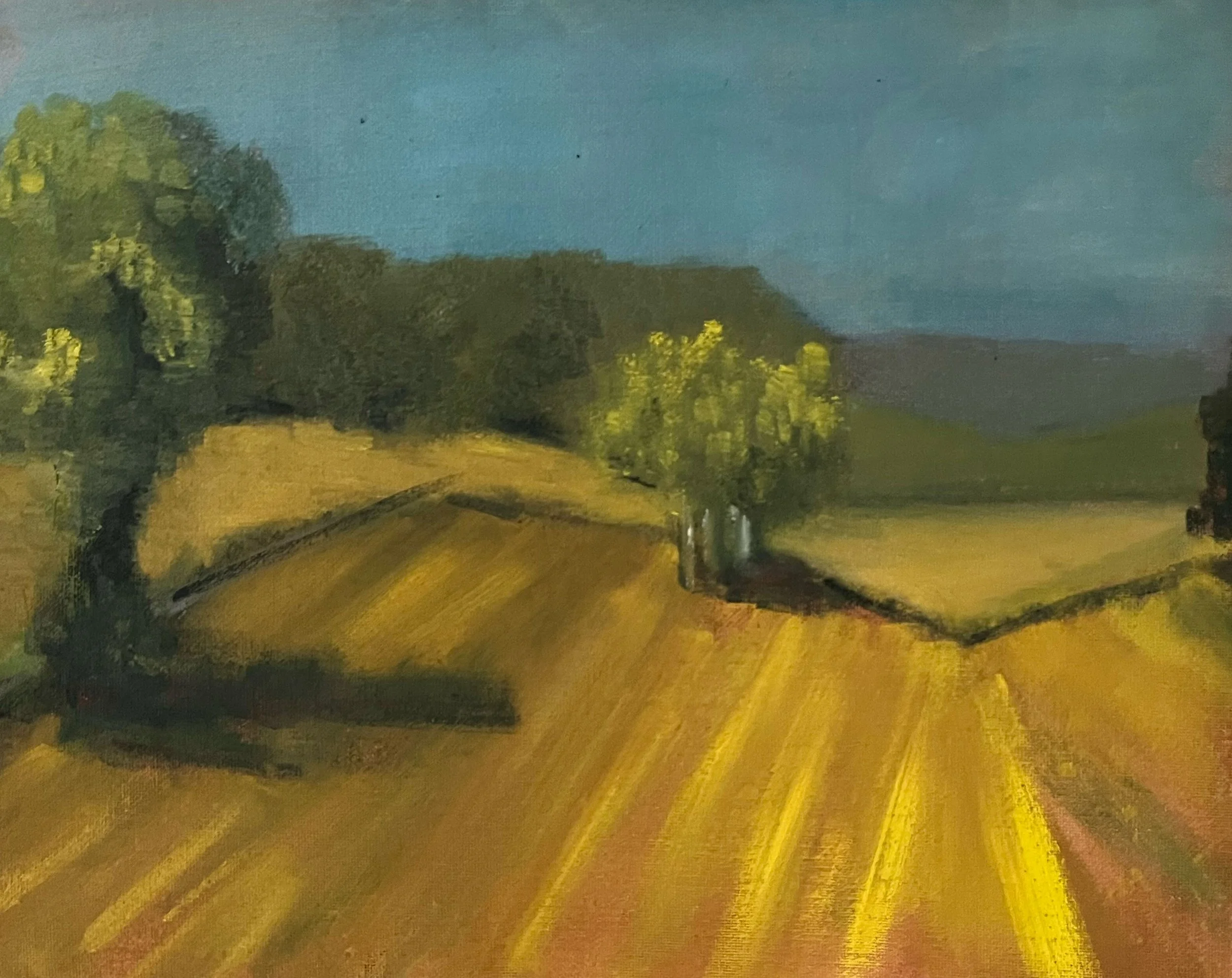 Harvested wheat field