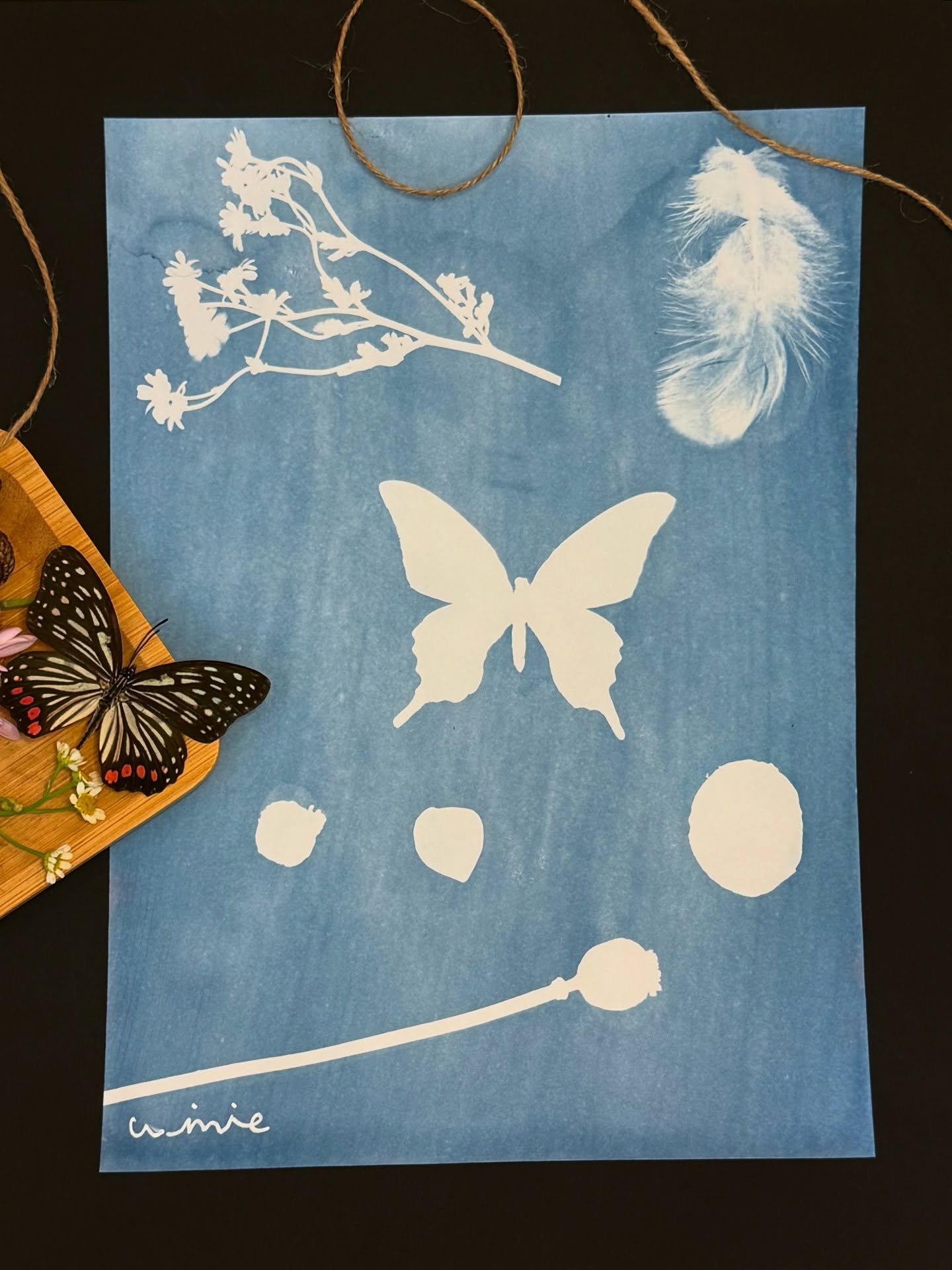 Exploring light and storytelling through cyanotype printing. A beautiful afternoon of slowing down and creating with intention.

#katonahny #petiteartstudio #westchesterkids #katonah #katonahmoms #katonahdaily #lewisboro #southsalemny #goldensbridgen