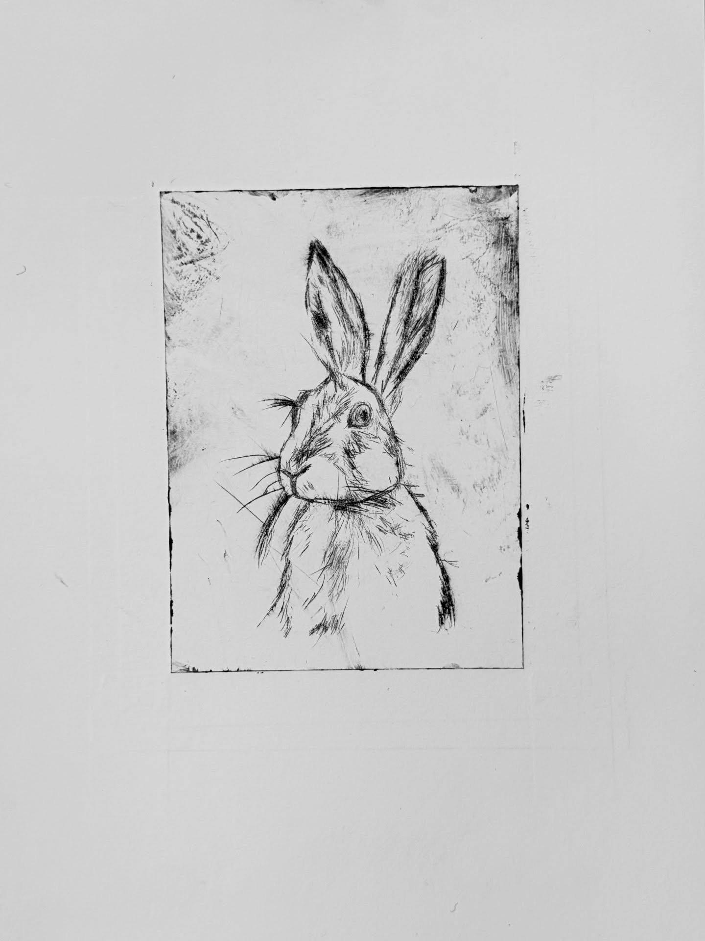 🐇 A few more intaglio prints from Advanced Studio last season. 

Our 6th-9th graders did such a wonderful job slowing down, experimenting with mark-making, and refining techniques during our autumn printmaking focus.

The printmaking process is a gr