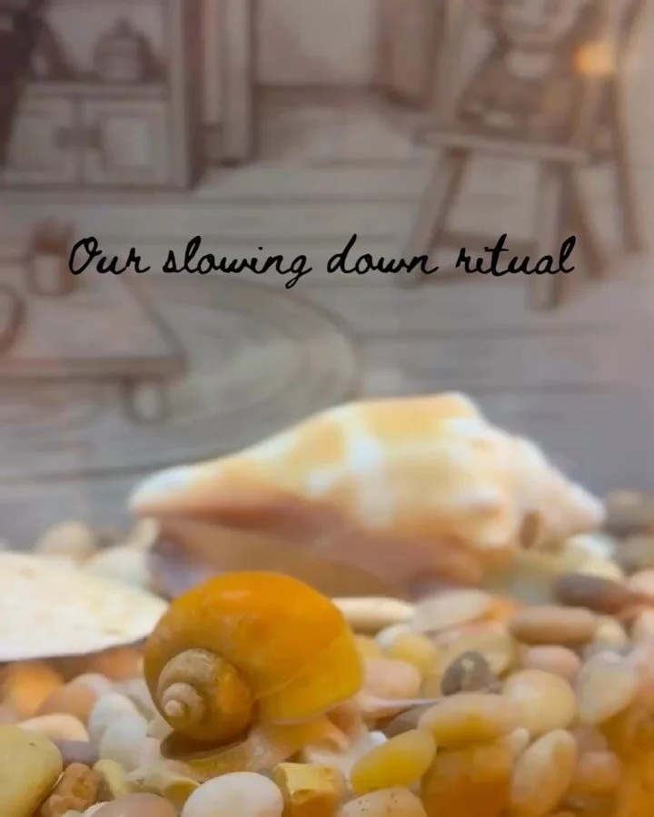 In case you needed a moment of calm on your feed 😌🐌

What&rsquo;s your favorite way to slow down before you begin?
Ours starts with the snails.
Our students love this ritual too.

Last spring, we attended a tour of @mulberry_house_playschool. Suzan