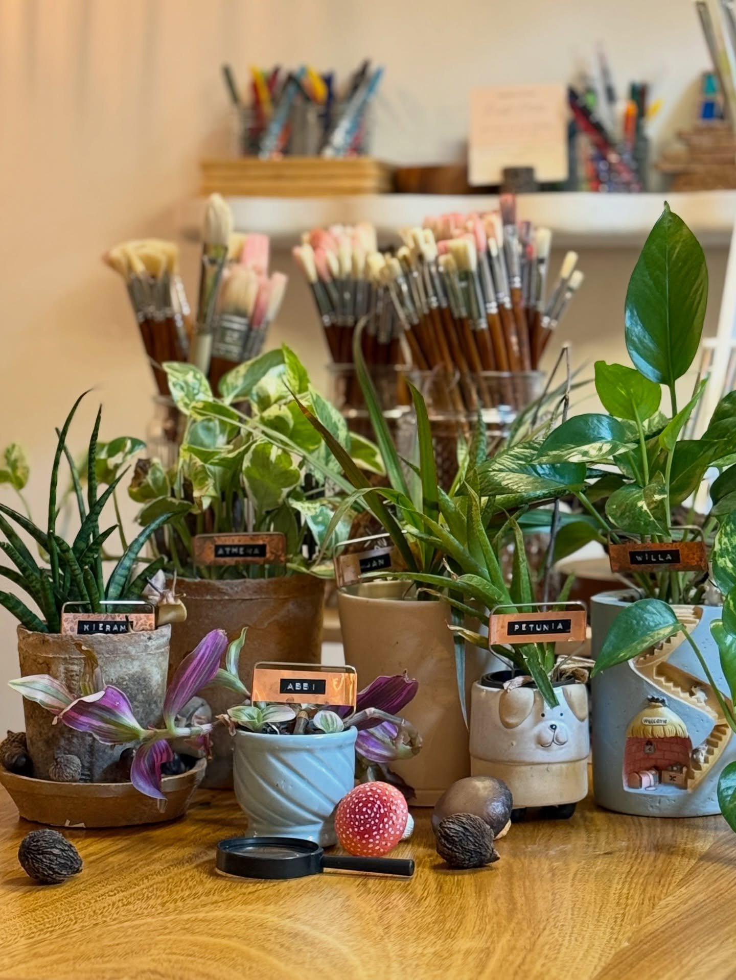 Only slightly emotionally attached to the studio plants&hellip; 
🌱🍄

#artstudio #plants #plantmom #arteducation #garden