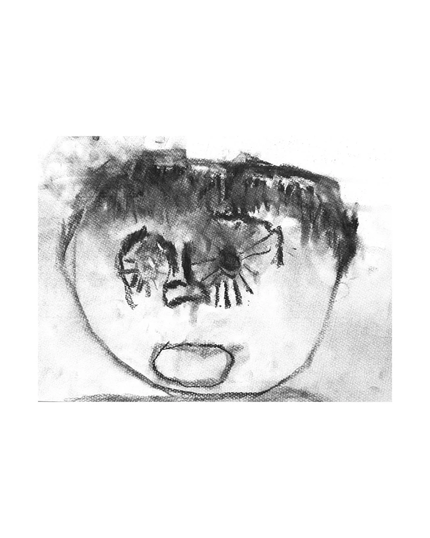 Preschool DoodleWorms created expressive charcoal self portraits this morning from observation 🖤

#childrensart #arteducation #selfportrait #artstudio #childrensartclasses