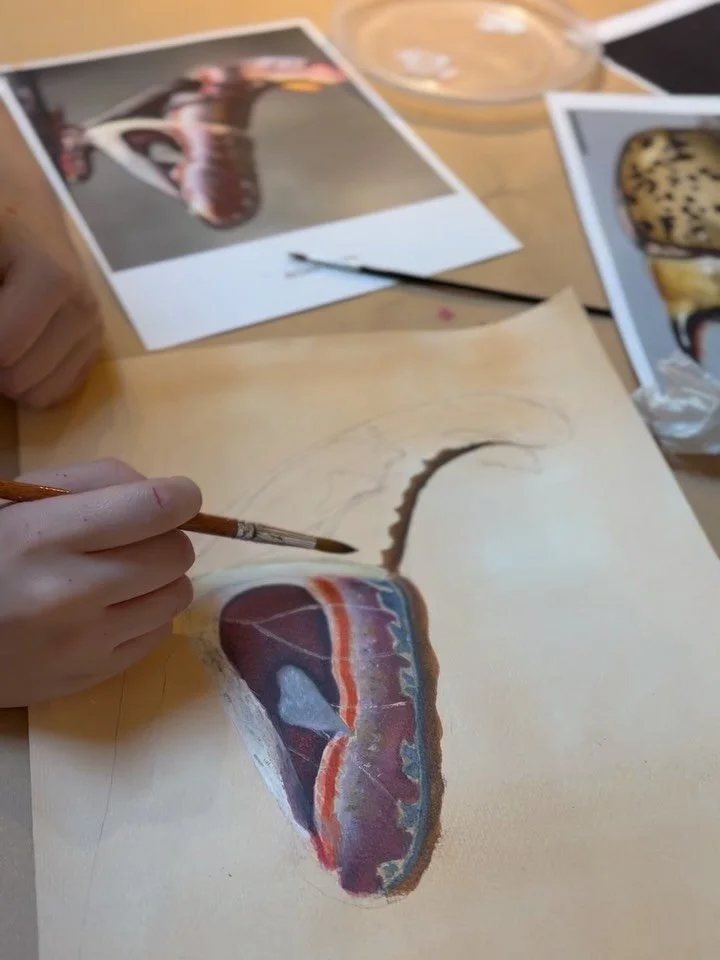 Our Advanced Studio artists have been creating fully rendered insect drawings after creating a series of abstract observational studies. Their patience and attention to detail have been amazing to witness.

A small work-in-progress sneak peek&hellip;