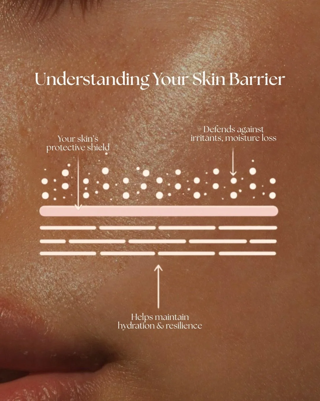 Your skin barrier is the foundation of great skin!

Cleanse it. Lift it. Nourish it. Strengthen it.

#esthetician #estheticianlife #virtualskincare #holisticskincare #holisticesthetician