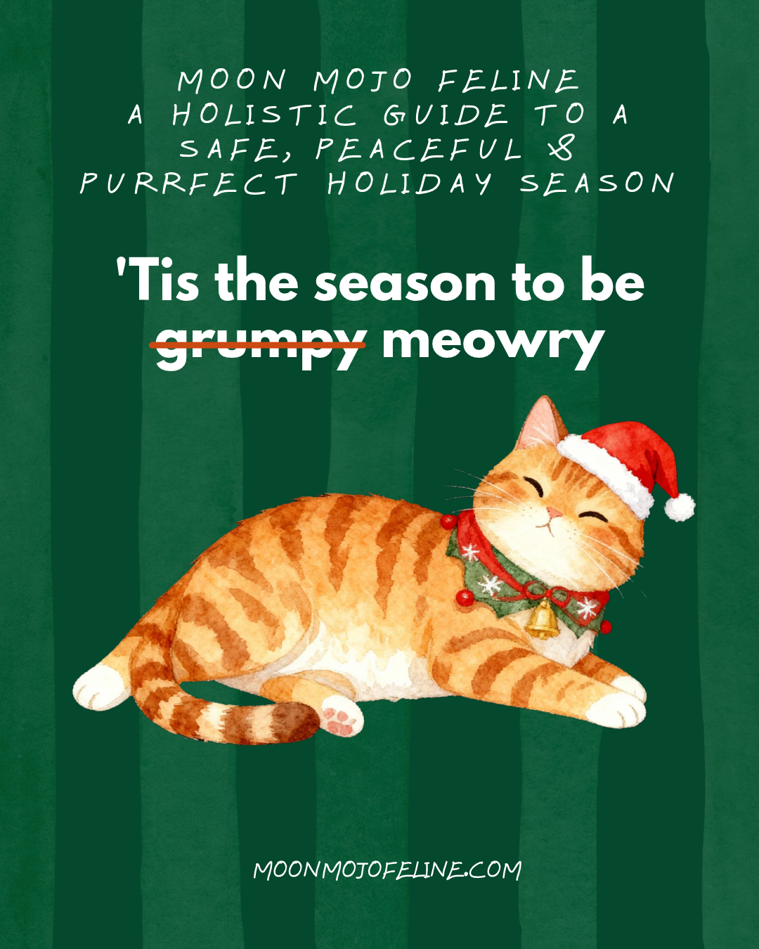 A More Magical Holiday for You and Your Cat ✨