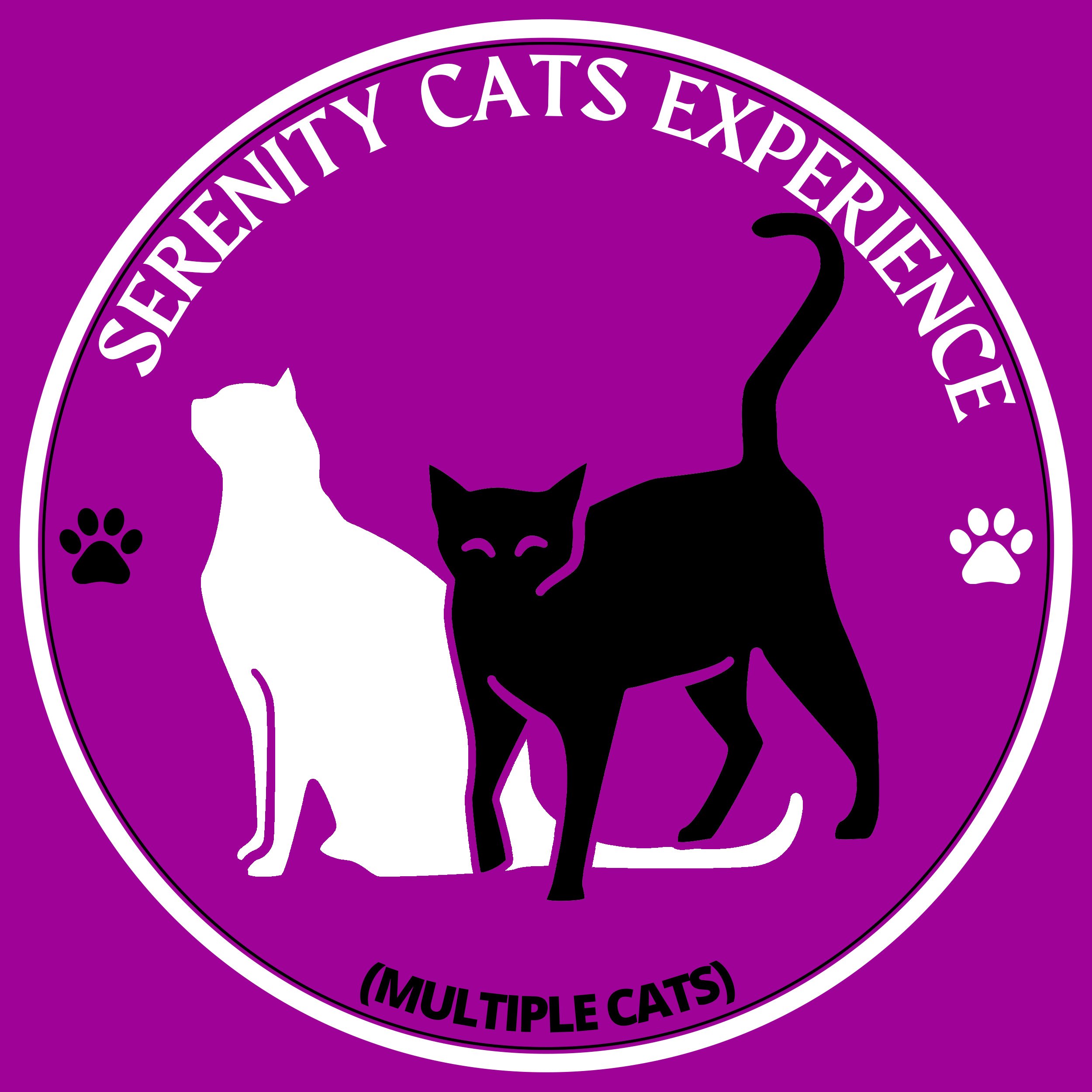 Serenity Cats Experience (Multiple Cats)