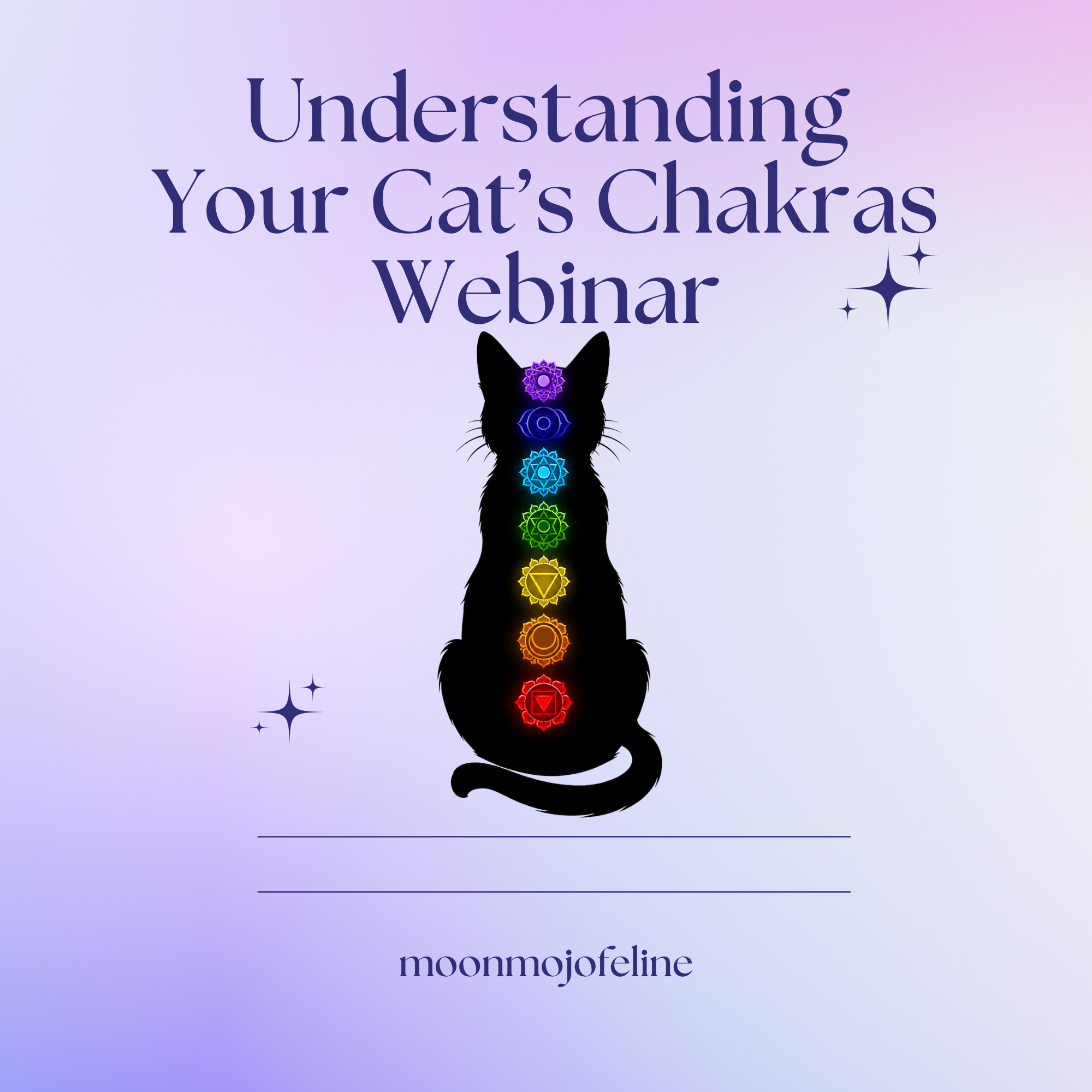 Understanding Your Cat's Chakras Webinar