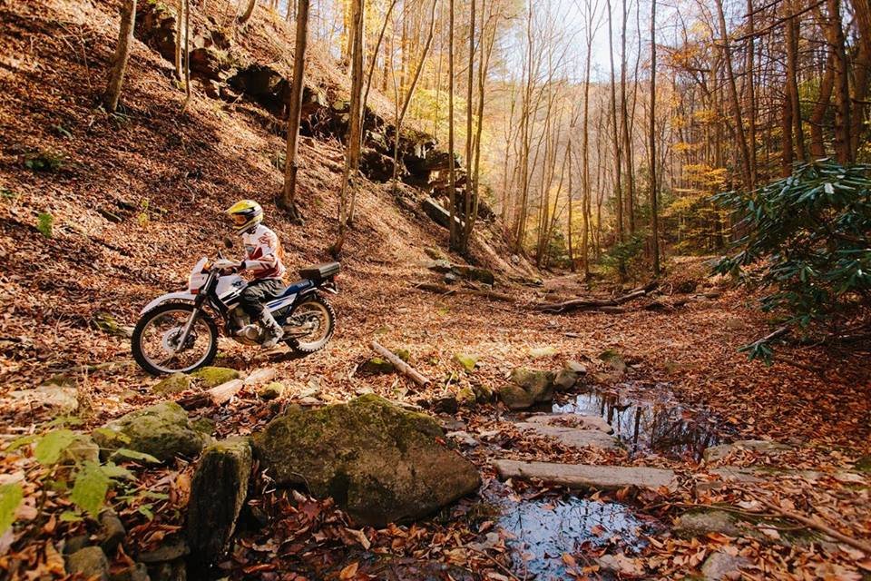 kairosbikefall.jpg