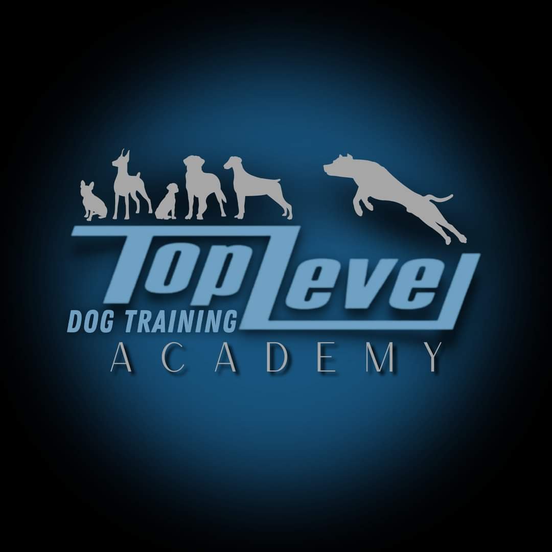 Top Level Dog Training Academy