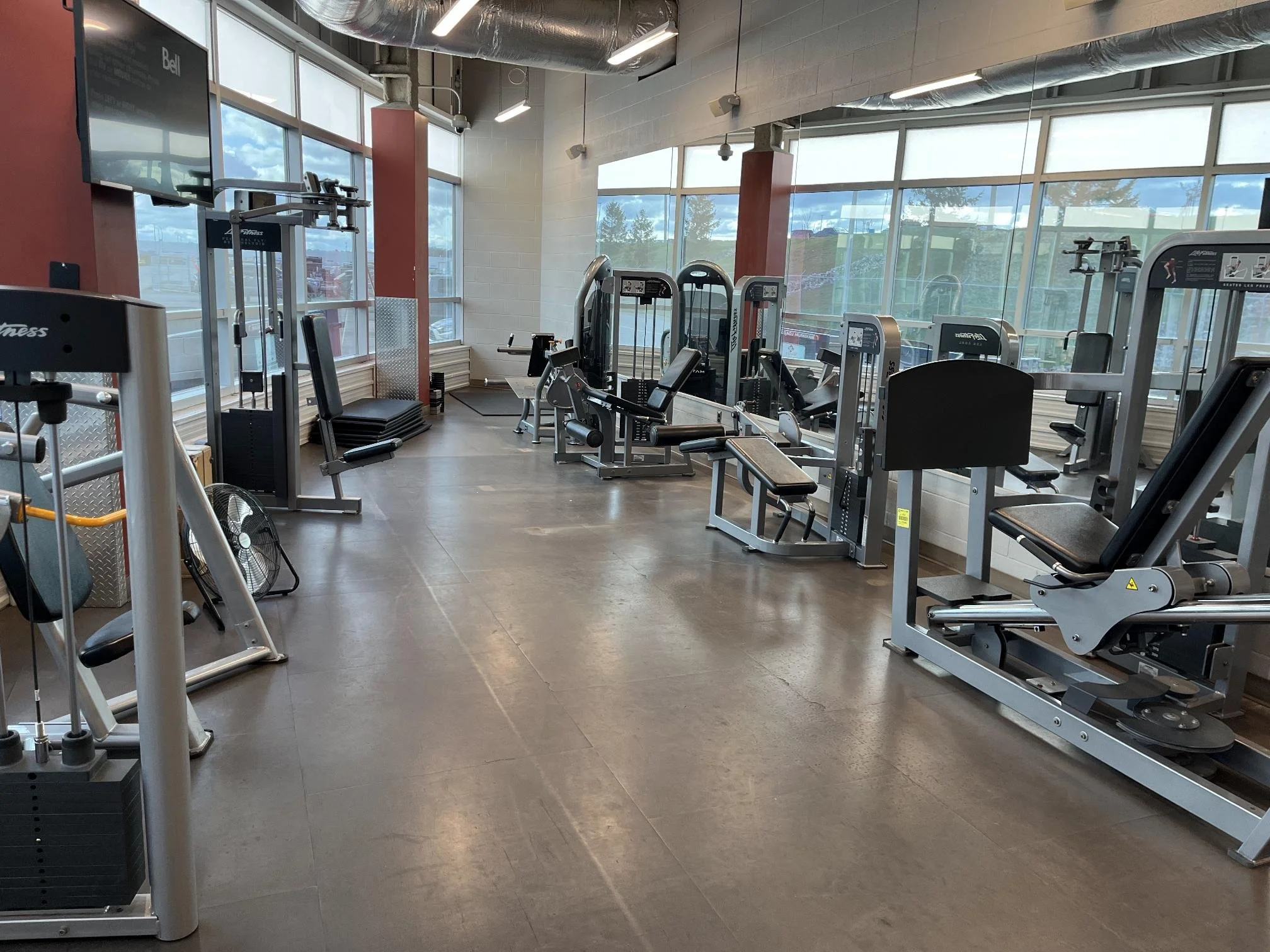 shared image (4).jpg