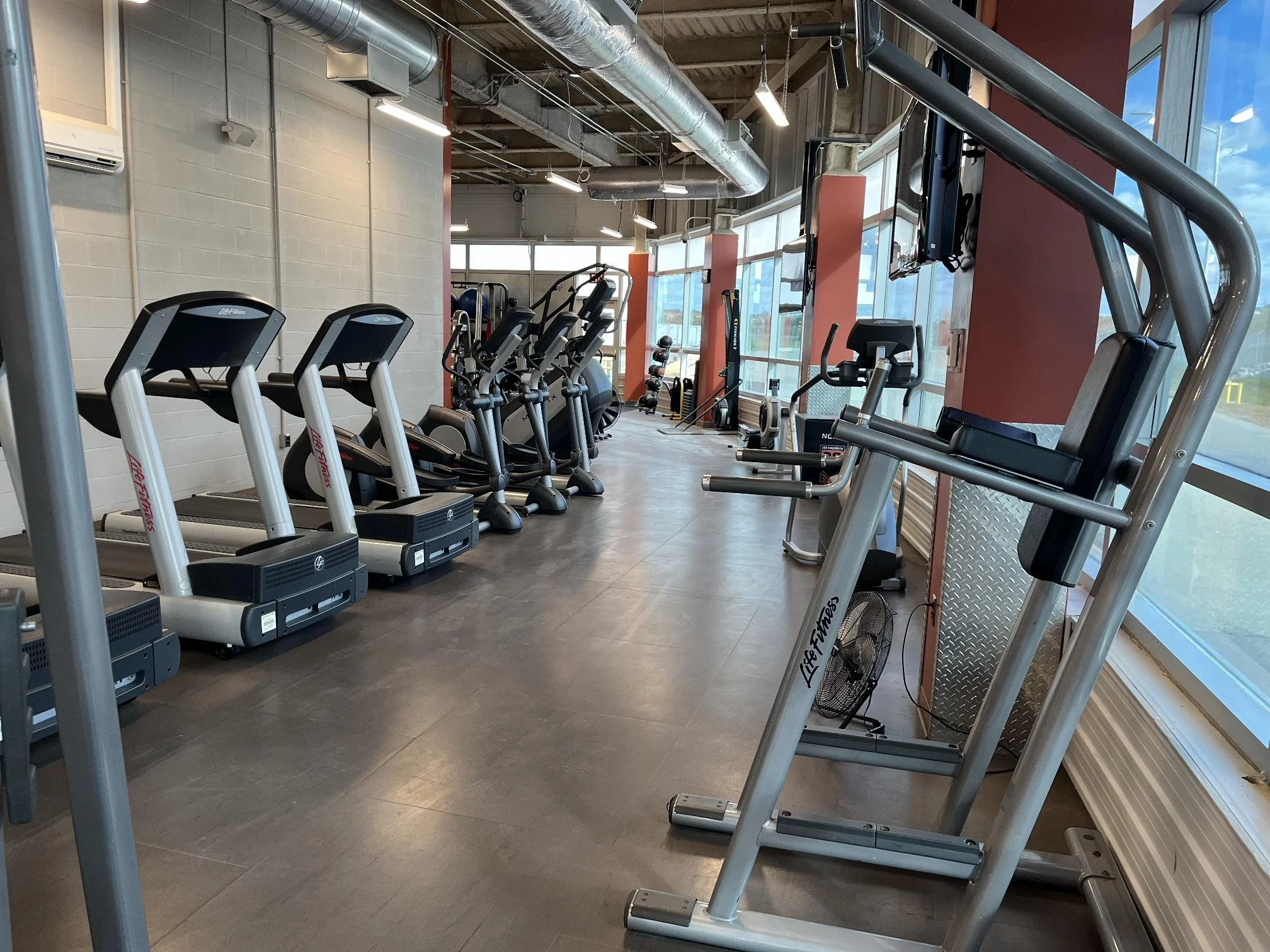 shared image (1).jpg