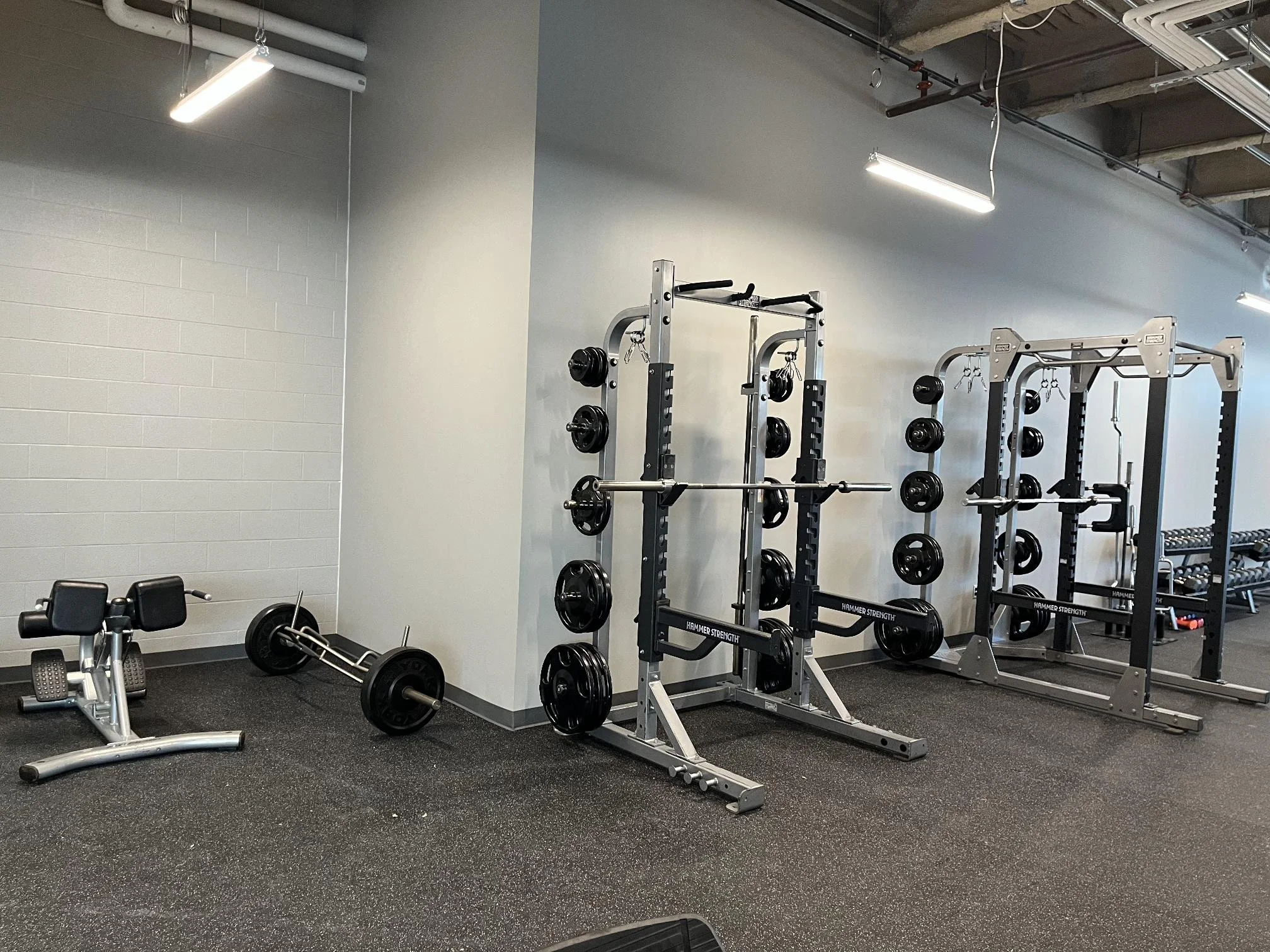 shared image (3).jpg