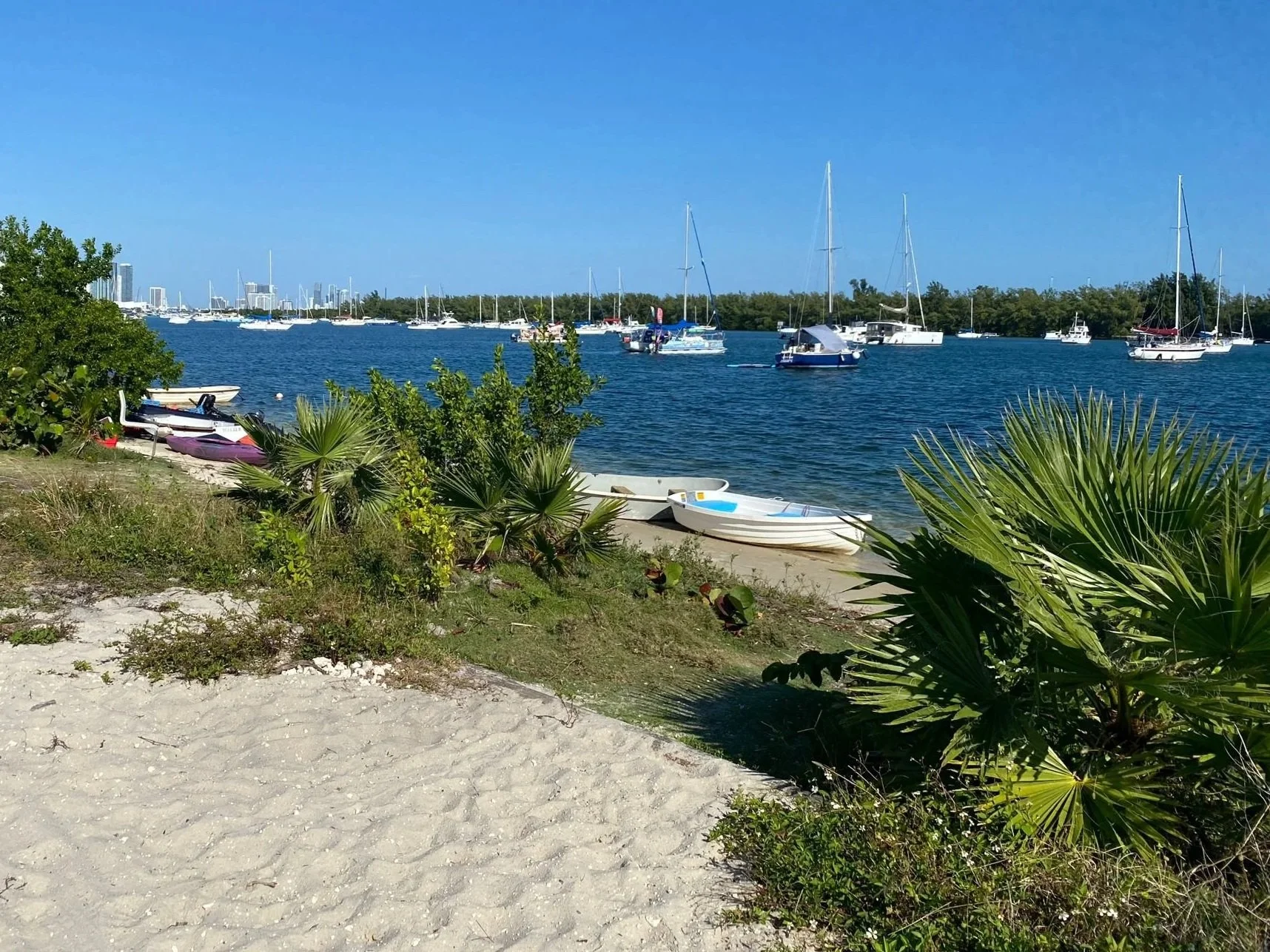 Community & Practice featured project, Strong Coast landscape photo.