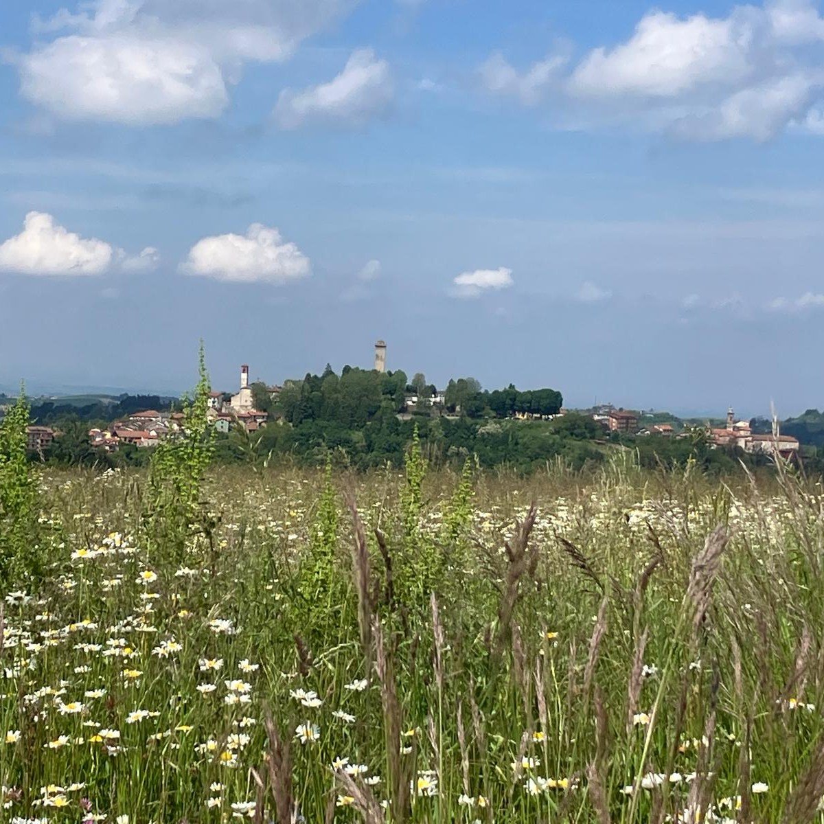 LAST MINUTE
Het voorjaar is een heerlijke periode in Piemonte. De temperaturen zijn aangenaam, het is overal nog lekker rustig en de natuur is prachtig met frisgroene kleuren en veel bloemen. En toch hebben wij nog plek vanaf Hemelsvaart tot medio j