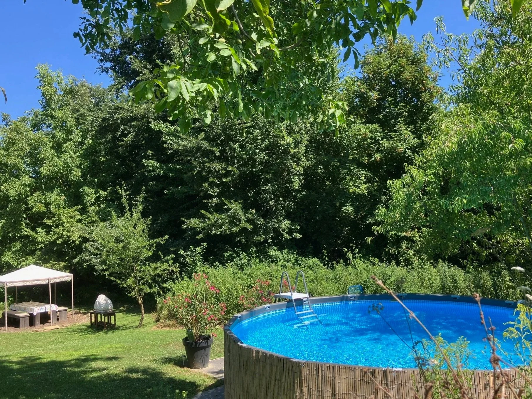 Zwembad in de tuin met op achtergrond tafel onder een gazebo