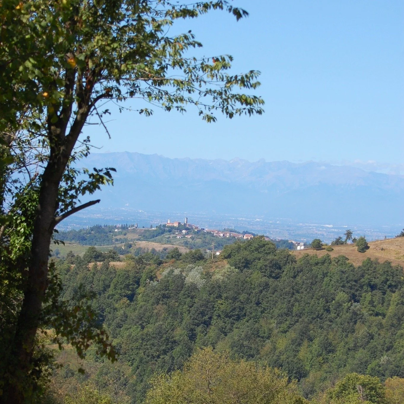 Nog niet op vakantie geweest dit jaar of nog even lekker nazomeren in Piemonte? De weersvoorspellingen zien er goed uit en er zijn de komende tijd van allerhande leuke dingen te doen in de regio:
🍷Oogstfeesten - diverse data en locaties
🍷Wine Stree