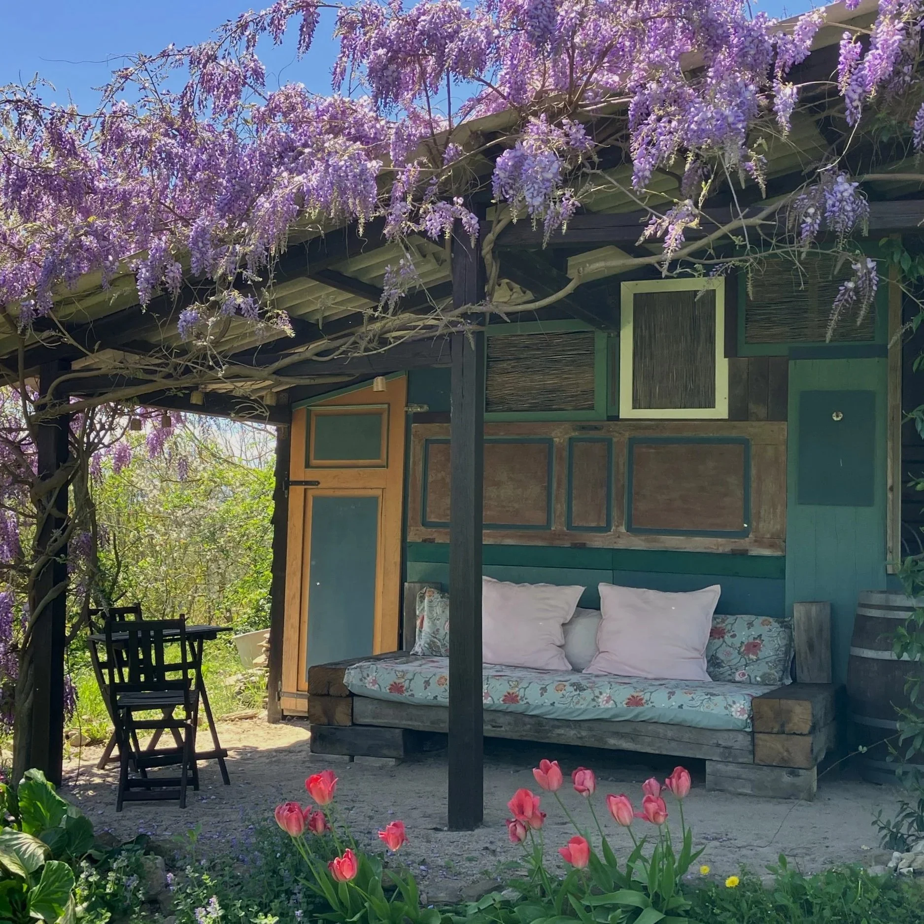 Een kleine, houten tuinhut met een dak begroeid met paarse blauwe regenbloemen. Er is een bank met kussens en een houten deur, omringd door bloemen en groene planten in een tuin onder een heldere blauwe hemel.