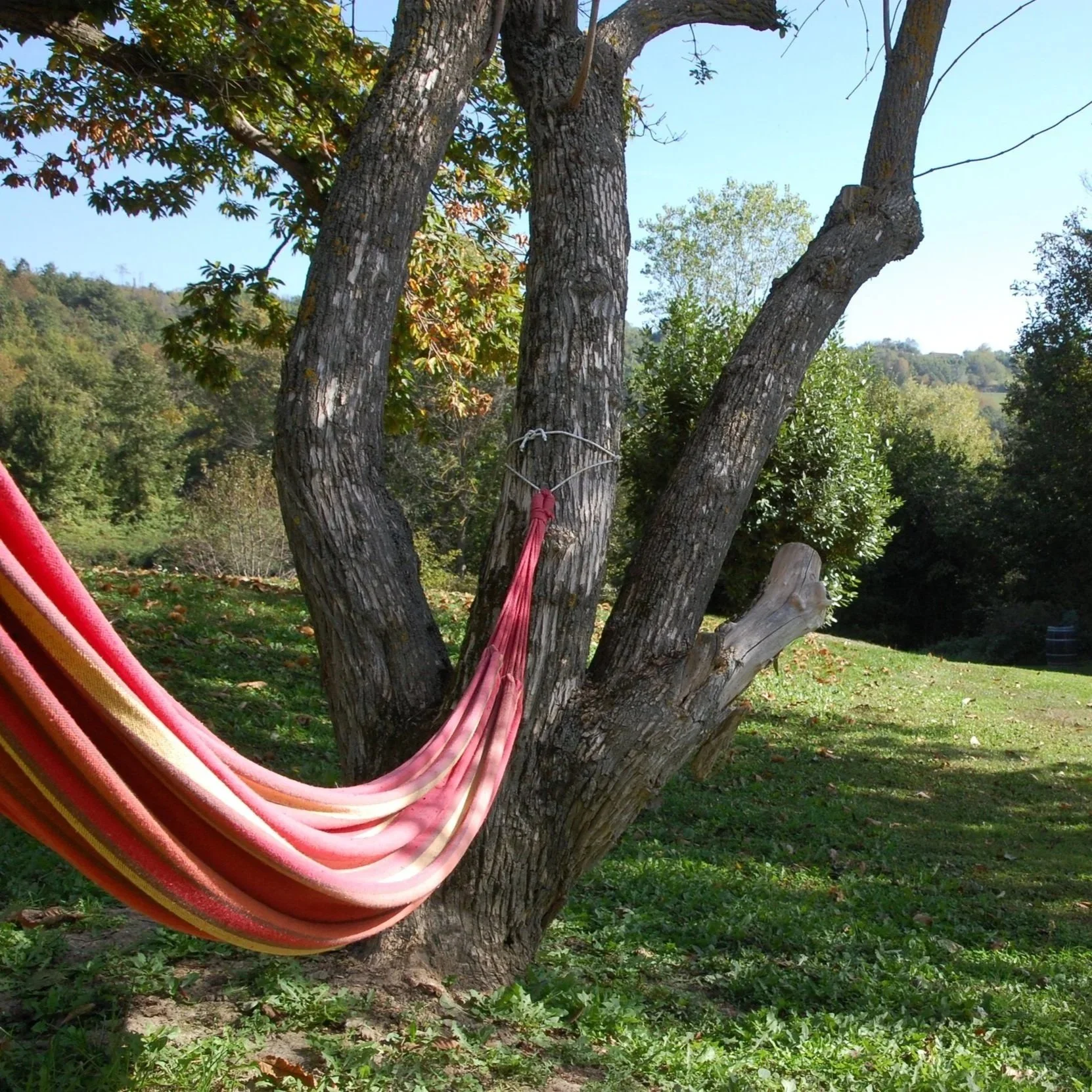 Zicht op picknickplek vanaf hangmat
