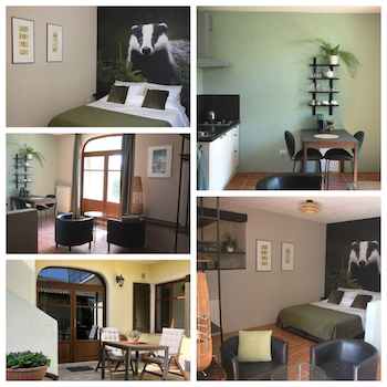 monolocale  tasso affitto vacanze casavabene