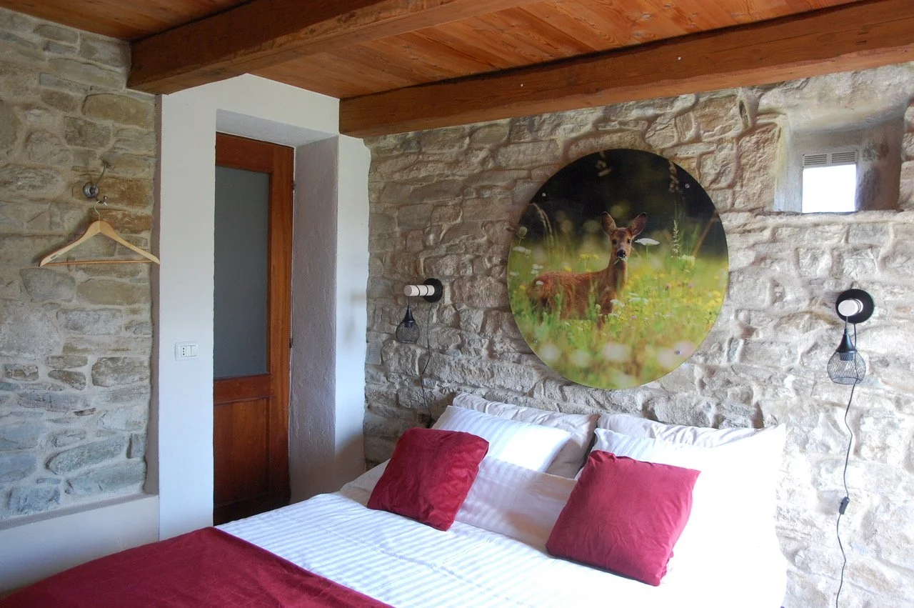 Slaapkamer met stenen muur, bed met rode kussens, houten plank, ronde hertenfoto aan de muur.