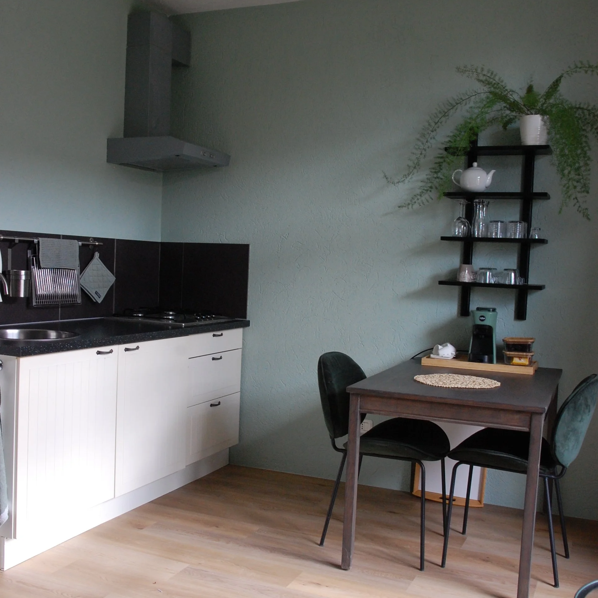 Kleine keuken met wastafel, fornuis, afzuigkap en zwarte kasten. Aan de muur hangt een plank met glazen en mokken. Er is een kleed op een tafel met twee stoelen. Een plant staat op de bovenste plank.