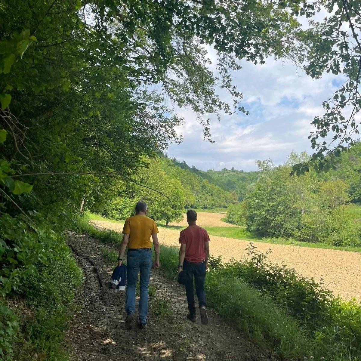 Wandelen hiken hardlopen trailrunnen mountainbiken
