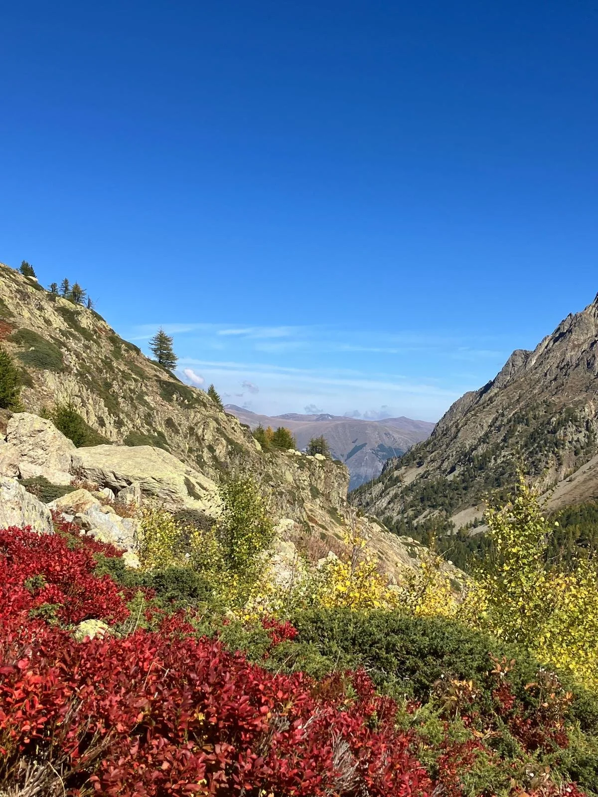 Bergen blauwe lucht rode herfstkleuren