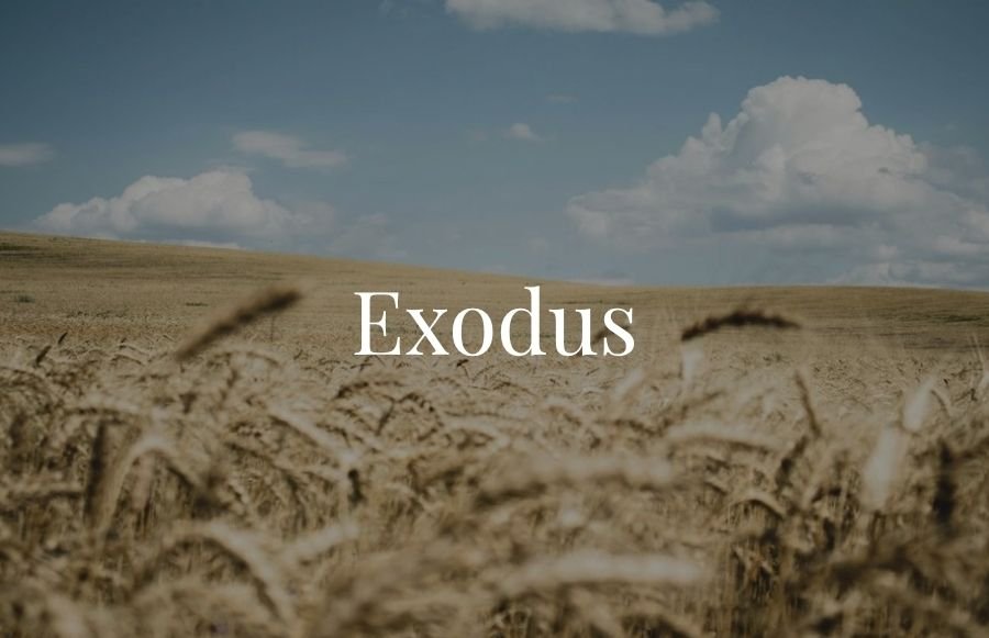 Exodus sermon series banner