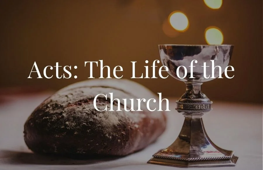 Acts: the life of the church sermon series banner.jpg