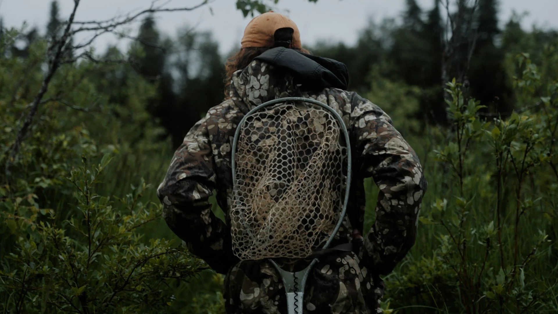 Into the woods 3.jpg