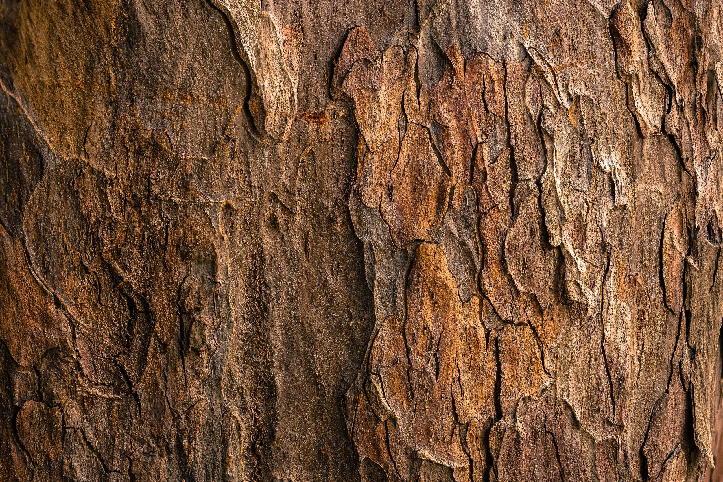 jude-infantini-mI-QcAP95Ok-unsplash.jpg