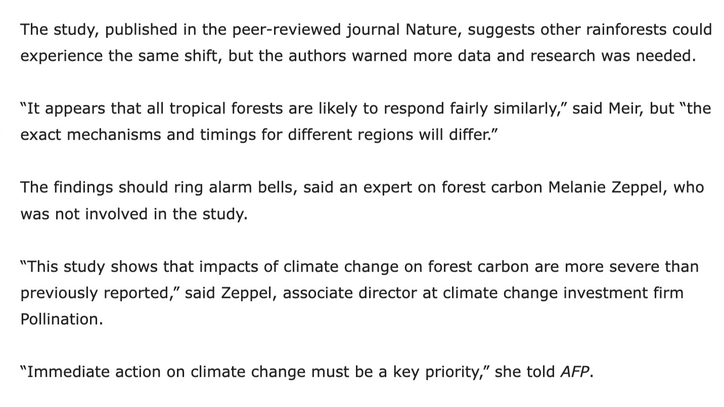 'Australian rainforests no longer a carbon sink: study finds