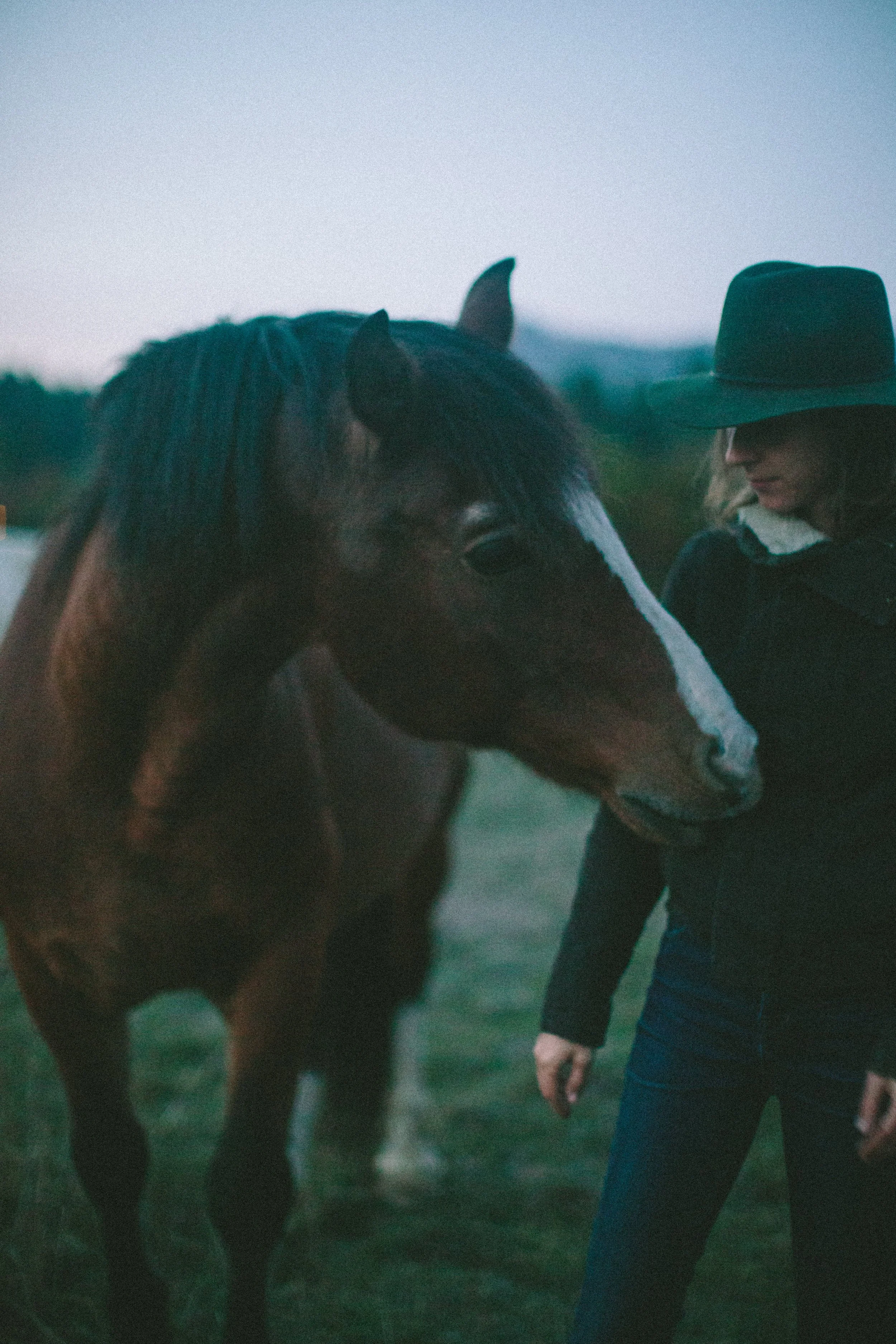 SOUL EQUINE-2606.jpg