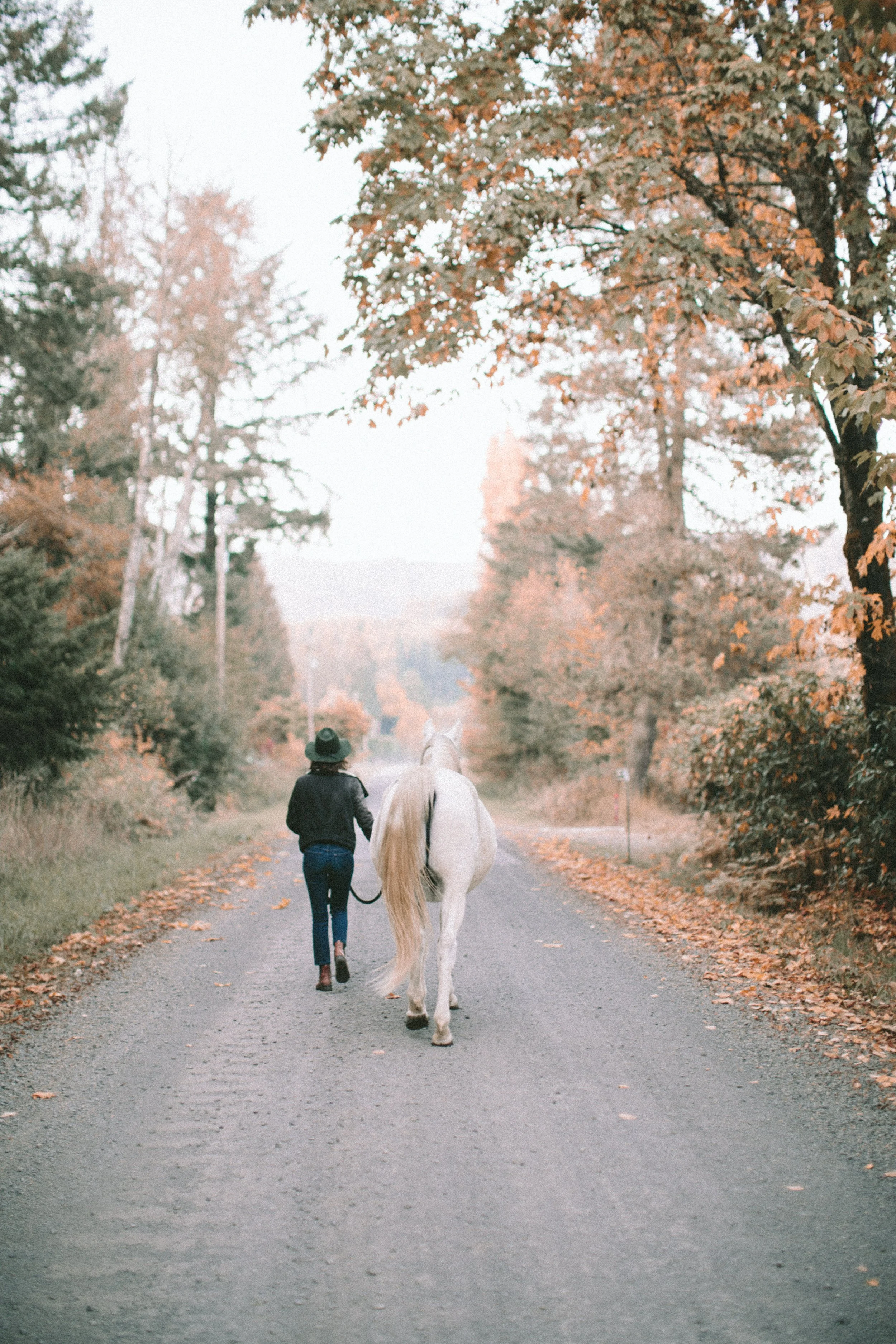 SOUL EQUINE-2369.jpg