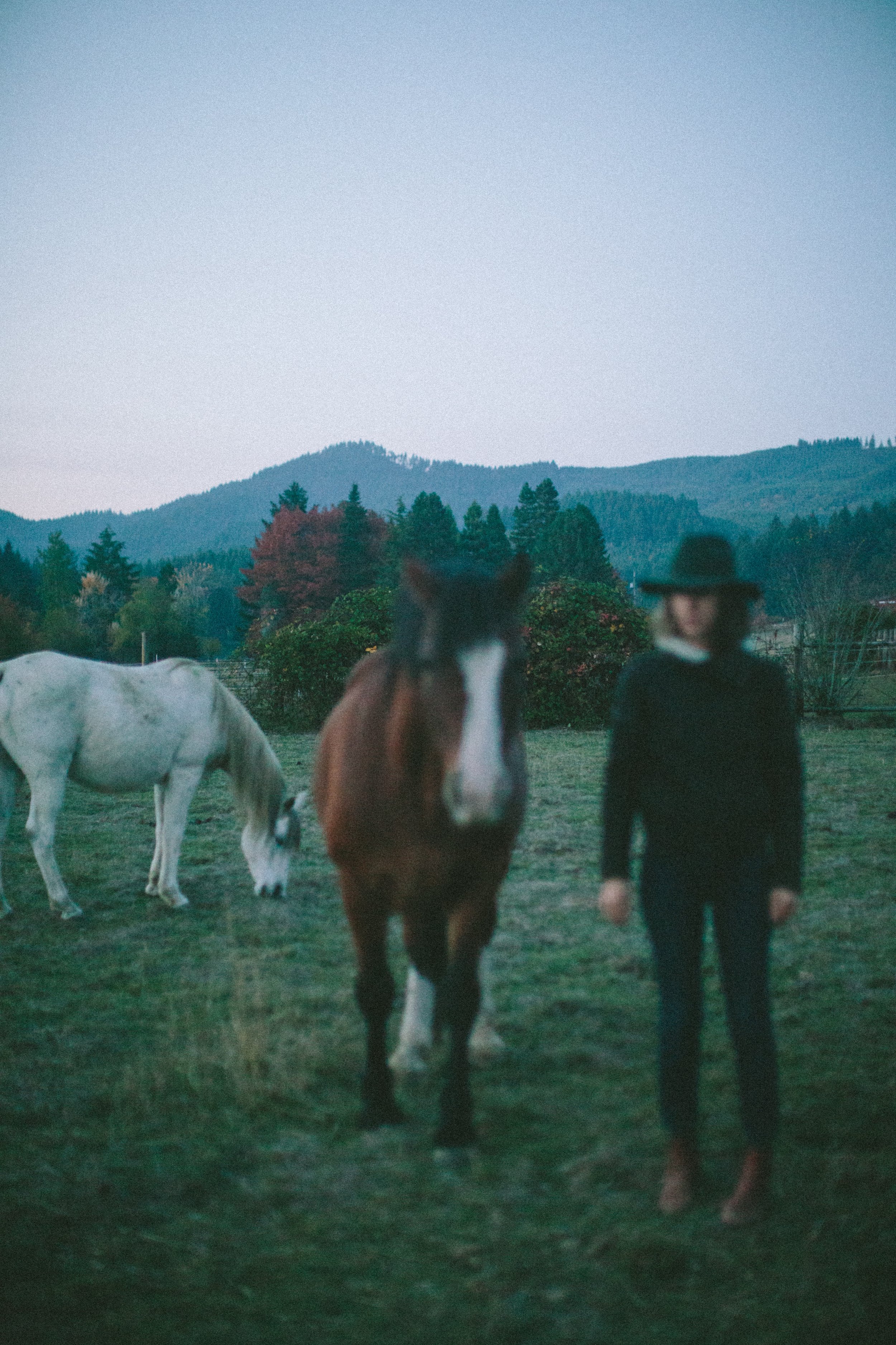 SOUL EQUINE-2609.jpg